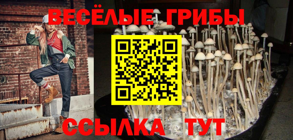 Галлюциногенные грибы Psilocybine cubensis Зеленокумск