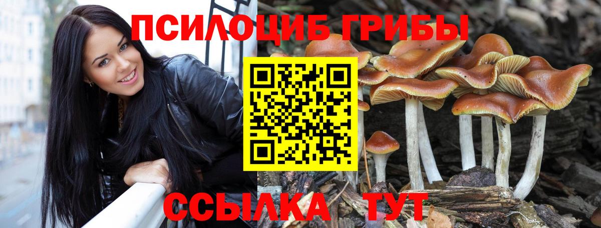 Зеленокумск  Псилоцибиновые грибы GOLDEN TEACHER  Вход с VPN 